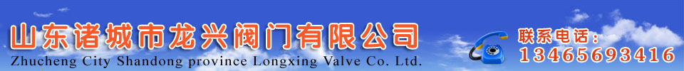 诸城市阀门公司